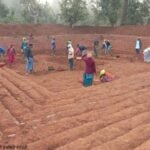 जल संरक्षण से आजीविका तक: छत्तीसगढ़ में ‘आजीविका डबरी’ अभियान बना ग्रामीण बदलाव की धुरी