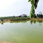 प्रधानमंत्री मत्स्य संपदा योजना