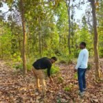 बाघ गणना का कार्य सफलतापूर्वक संपन्न